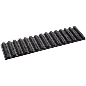correia de dentes