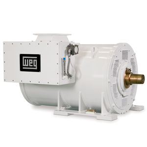 motor trifásico 1