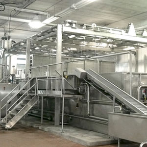 máquina de salga para queijo 1