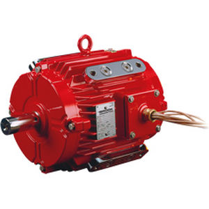 motor assíncrono 1