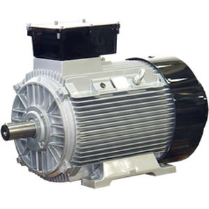 motor síncrono 1