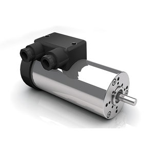 motor CA 1