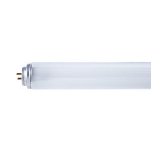 luz