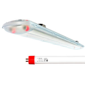 iluminação de teto