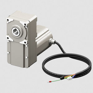 motor em aço inoxidável 1