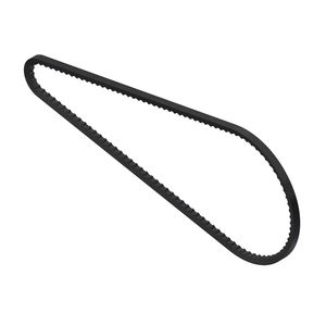 correia dentada