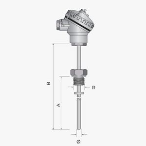 sonda de temperatura RTD