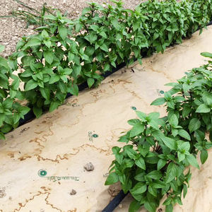 proteção de máquina para o setor agrícola