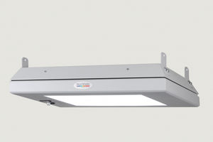 luz