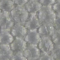 tela para filtro-prensa em PVC