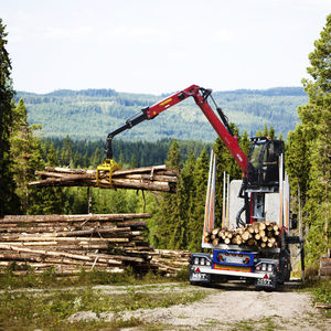 grua florestal com lança articulada