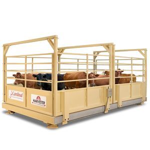 balança para gado