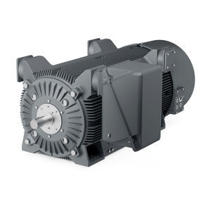 motor NEMA 1