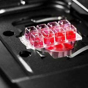 software para microscopia
