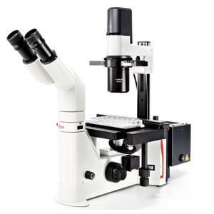 microscópio óptico