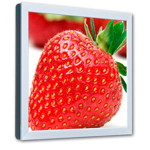 monitor LCD 1