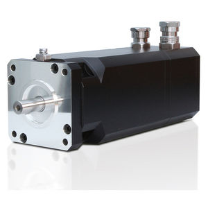 servomotor bifásico
