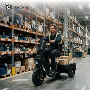 transportadora de movimentação 1