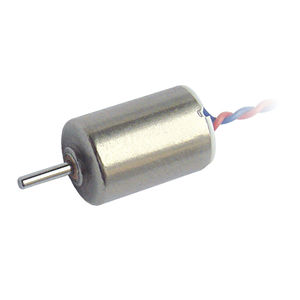 motor sem núcleo 1