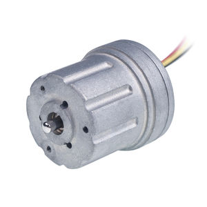 motor sem escovas 1
