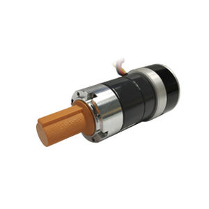 motorredutor 24 V 1