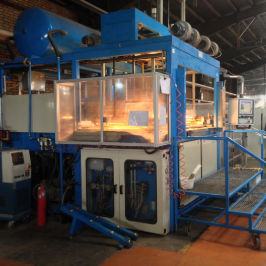 máquina de moldagem de estação simples