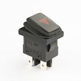 interruptor gangorra