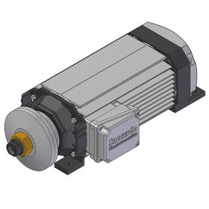 motor de indução
