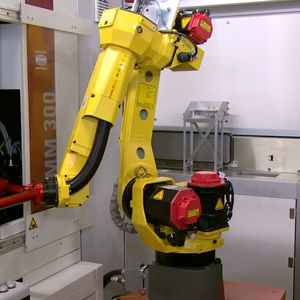 automatismo