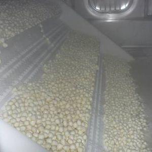 linha de produção de queijo
