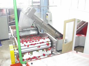 Máquina de limpeza sopradora