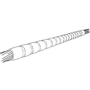 conector de alimentação elétrica
