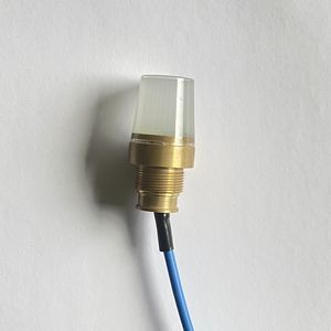 luz