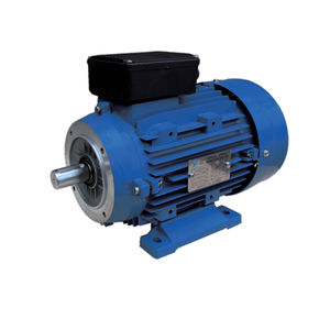 motor de indução