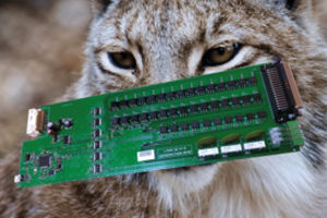 multiplexer placa