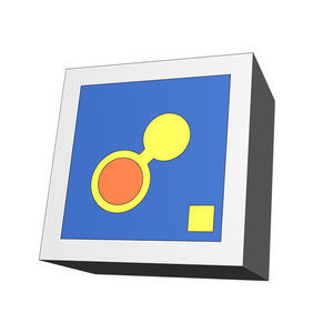 chip digital