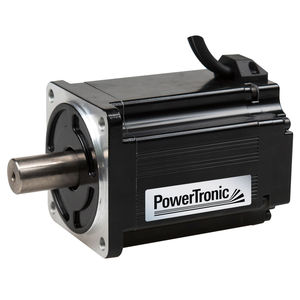 motor BLDC 1