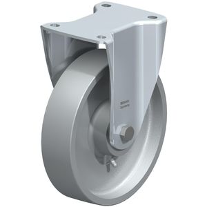 罗迪齐奥固定器