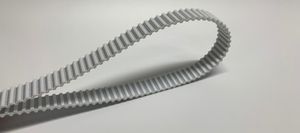 correia dentada