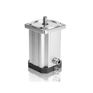 motor BLDC 1