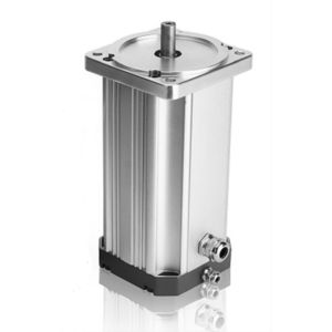 motor BLDC 1