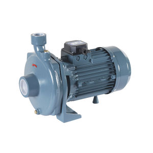 bomba de rotor