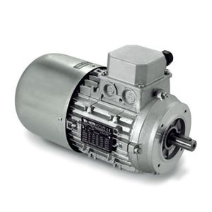 motor de indução 1