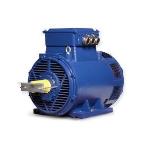 motor IP23