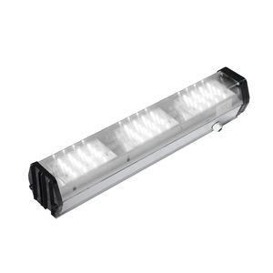 luz