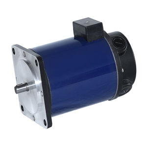 motor 4 polos