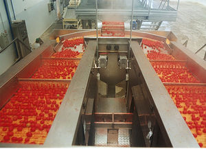 descascadora para tomates