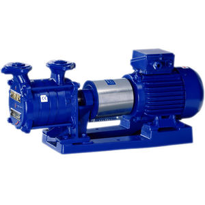 bomba de rotor 1