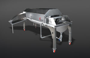 lavadora agroalimentar para fruta / automática