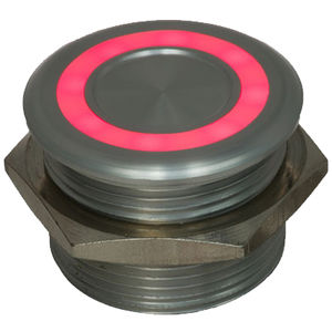 Interruptor piezo.